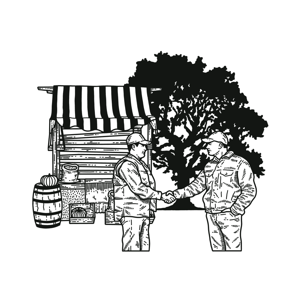 Book Now illustration