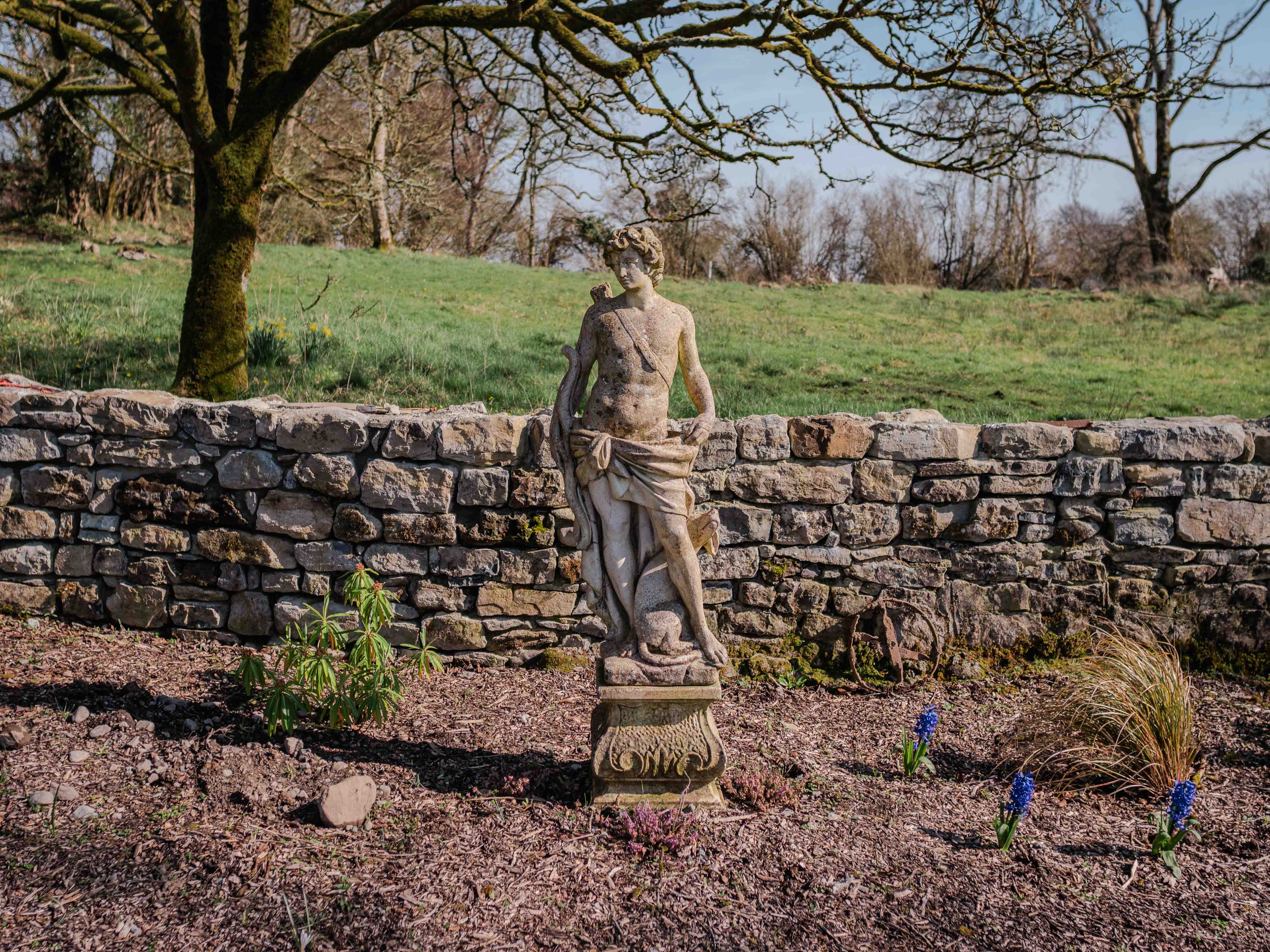 The gardens and grounds