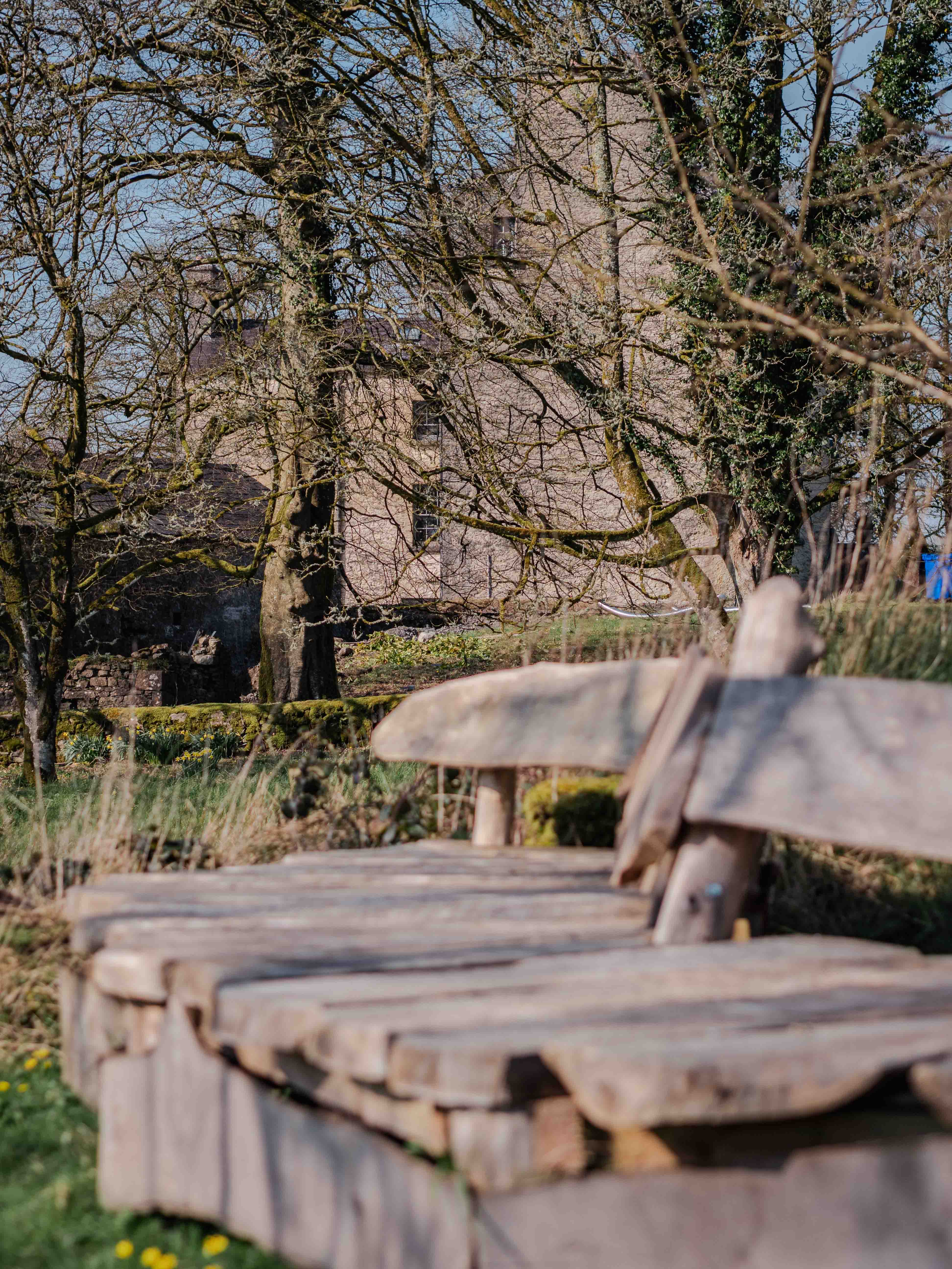 The wooded grounds at Ballinderry Park where the glamping pods sit