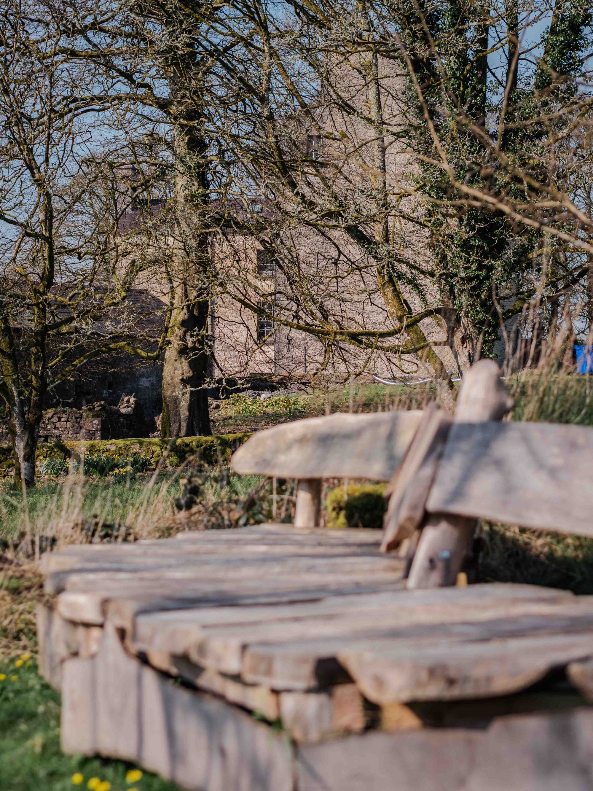 Der bewaldete Park von Ballinderry Park, in dem das Glamping steht