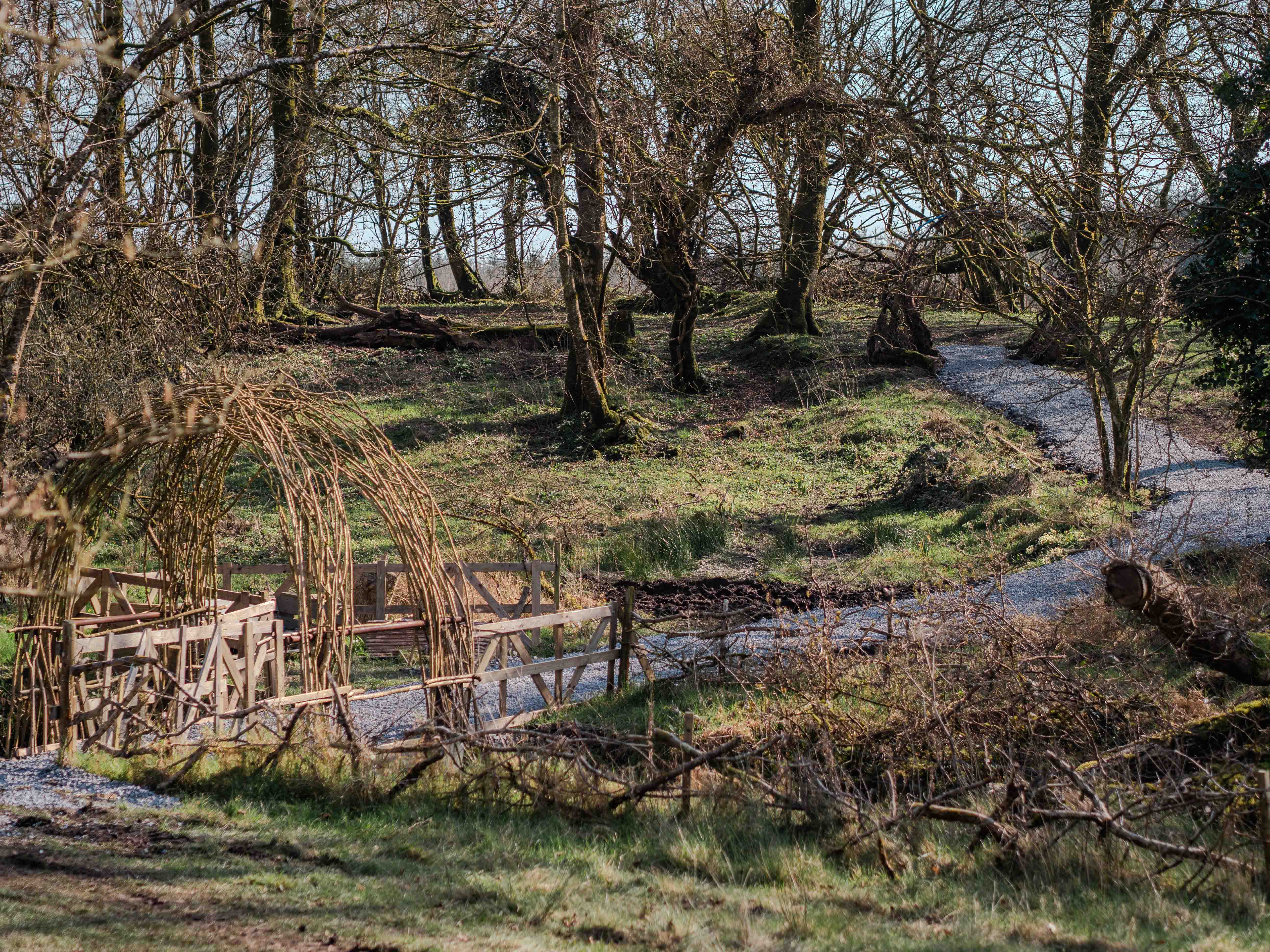 The countryside around Ballinderry Park, East County Galway